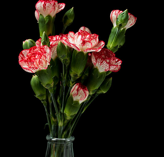 Aug 04 – Vase