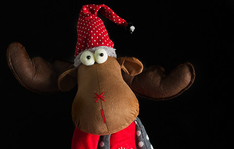 Dec 22 – A new friend