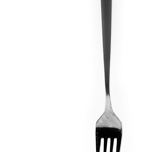 Feb 10 – Used fork