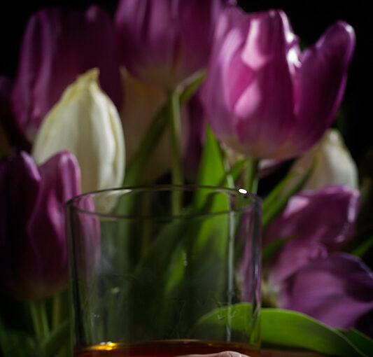 Feb 13 – A toast