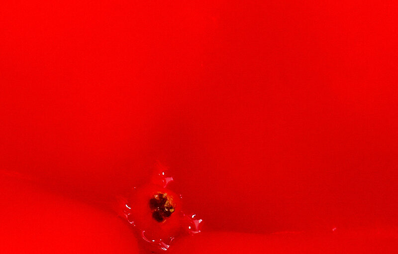 The bottom side of a bell pepper.