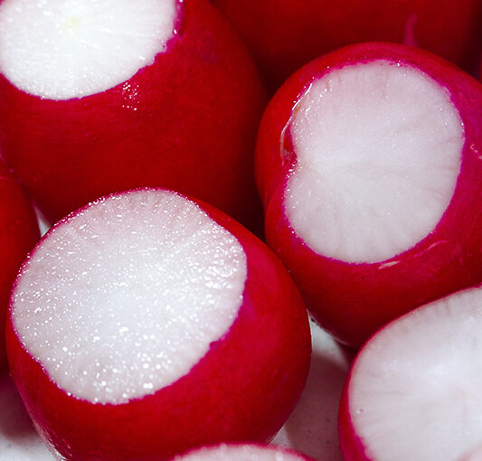 Apr 05 – Radish