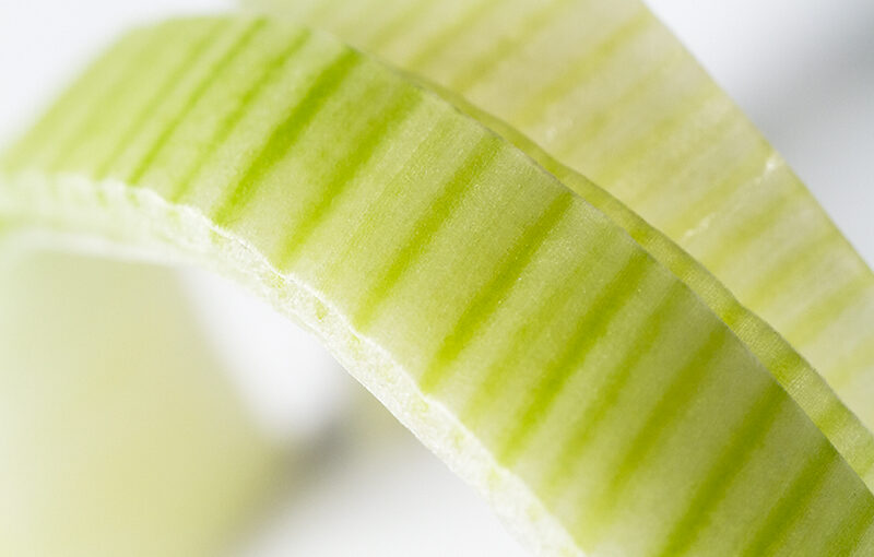 Apr 18 – Leek