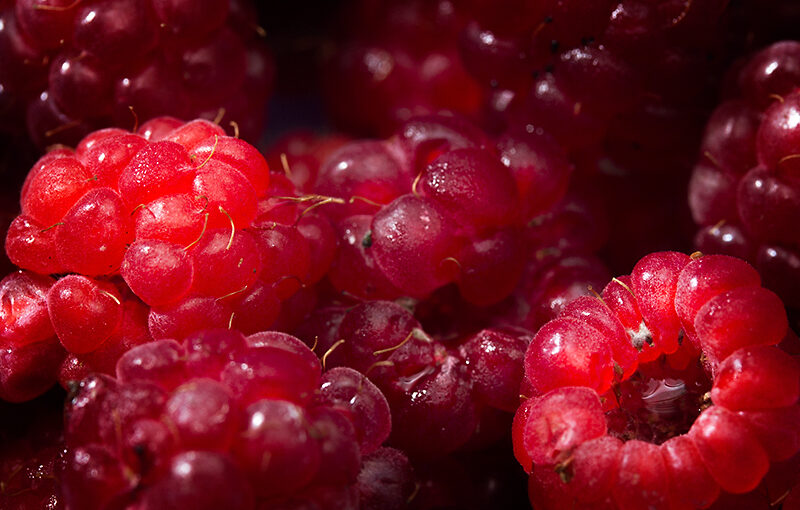 May 30 – Harvest