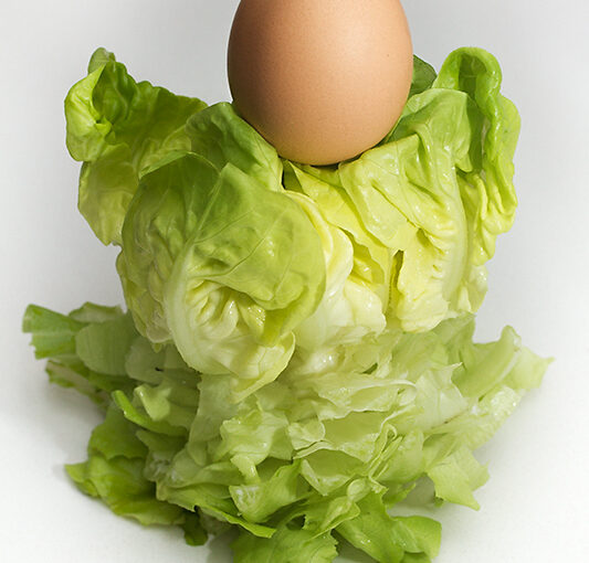 Sep 03 – Egg holder