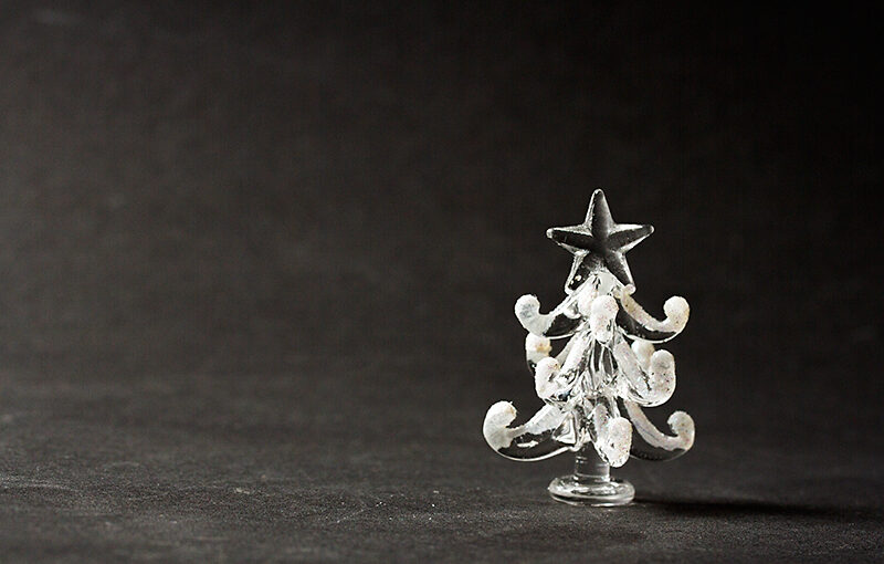 Dec 20 – A small tree