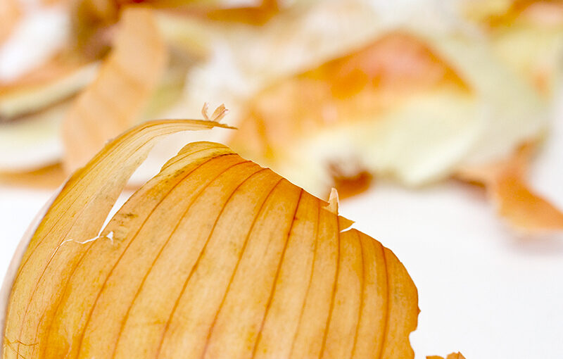 Jan 09 – Onion