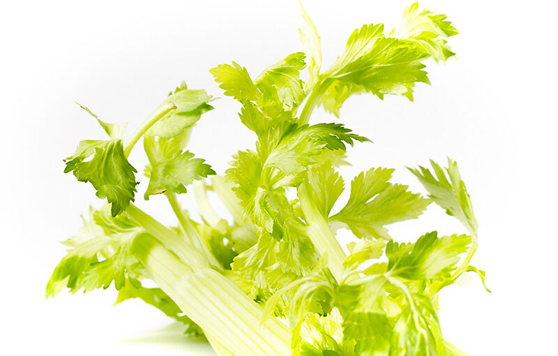 Mar 01 – Celery