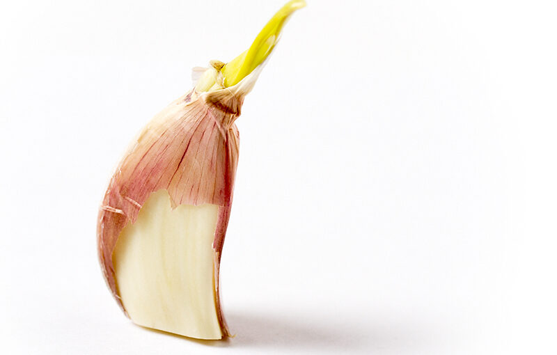 Mar 02 – Garlic