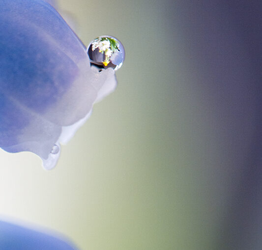Mar 25 – Drop