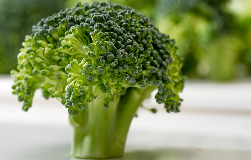 Mar 26 – Broccoli
