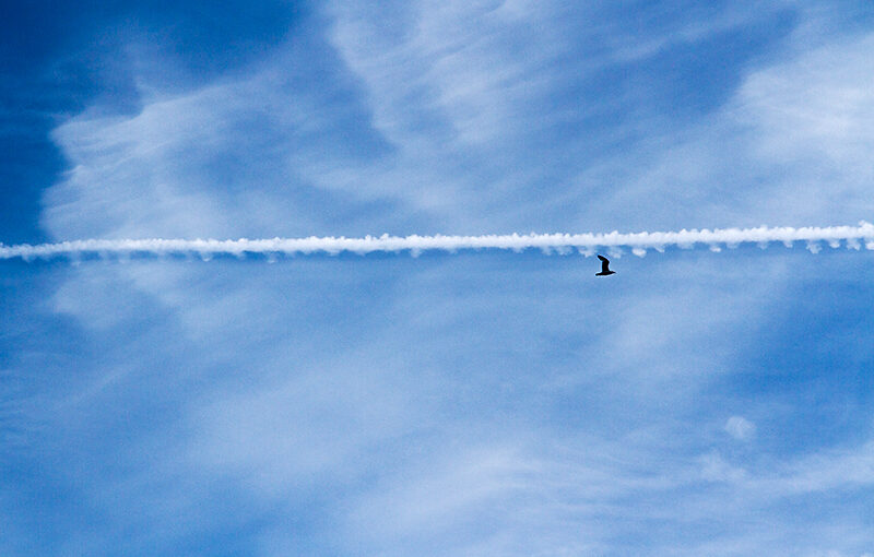 May 15 – I fly the line