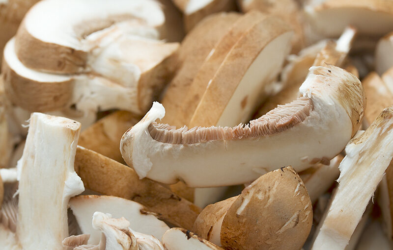 May 31 – Mushrooms
