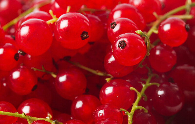 Aug 03 – Harvest