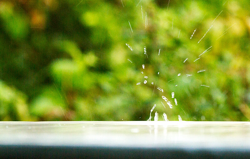 Aug 14 – Rain
