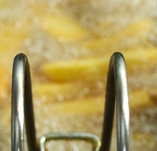 Aug 16 – View on fries