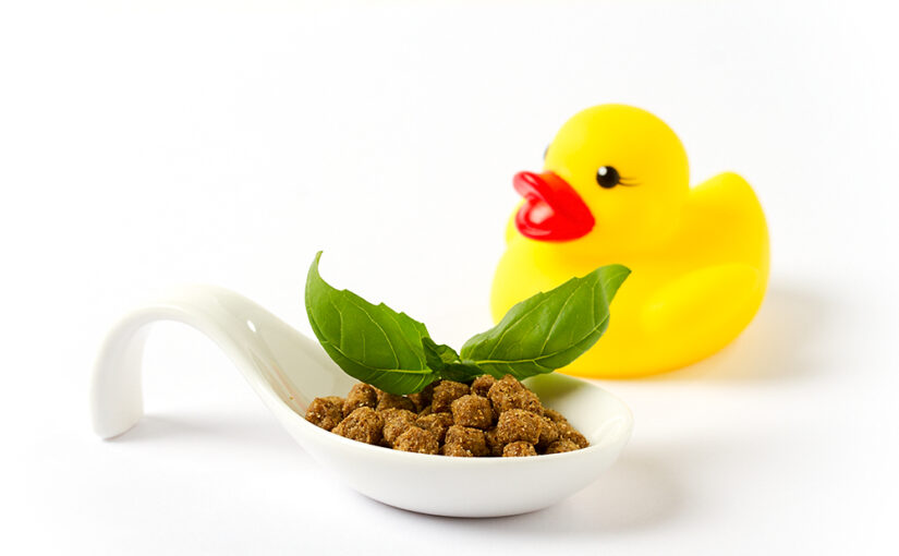 Oct 04 – Cat food