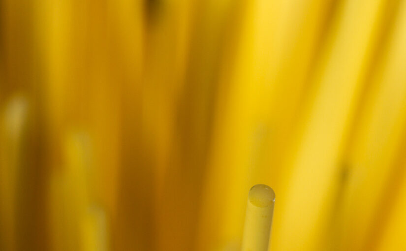 Oct 15 – Abstract