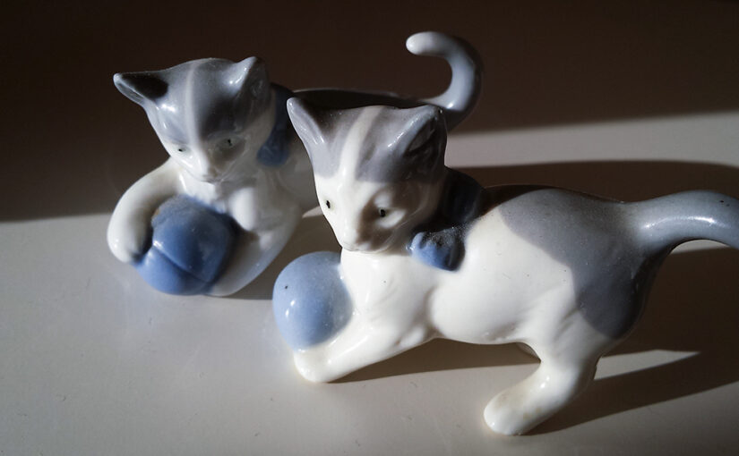Oct 25 – Cats
