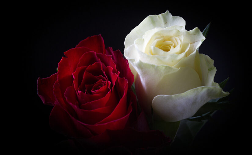 Oct 30 – Red and white