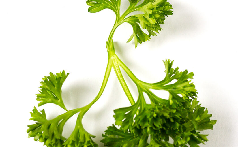 Nov 25 – Parsley