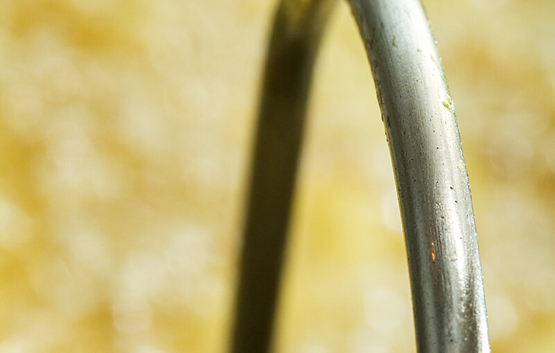 Dec 12 – Bow