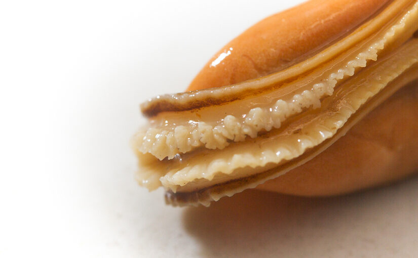 Jan 15 – Cooked mussel