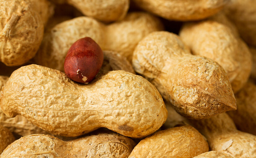 My favorite evening snack.