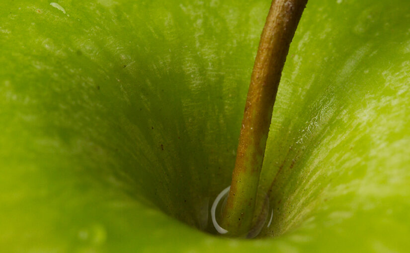 Feb 17 – Green hole