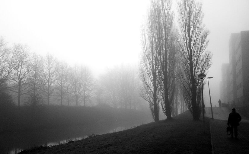 It was a B&W day this morning