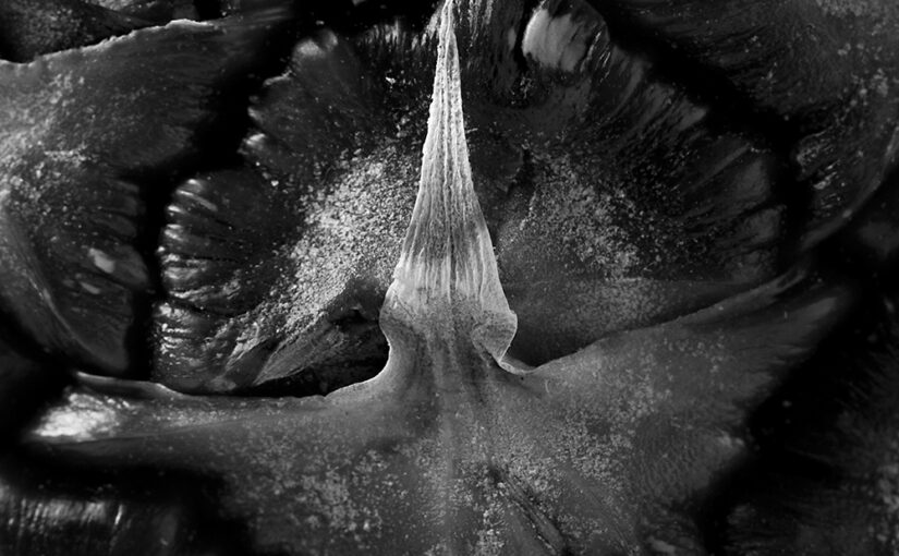 Detail of a pineapple.