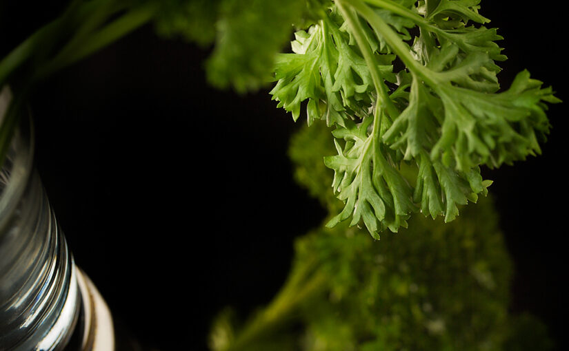 Apr 14 – Parsley