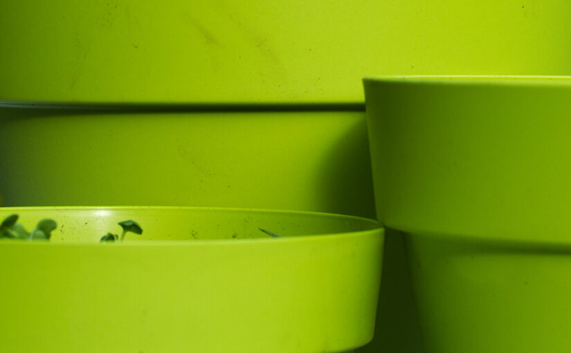 Apr 22 – Green