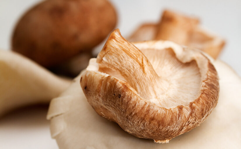 Jun 10 – Mushroom melange