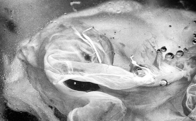 Jul 11 – Water monster