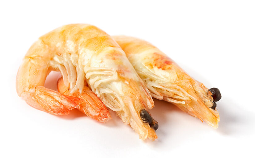 Aug 06 – Shrimps