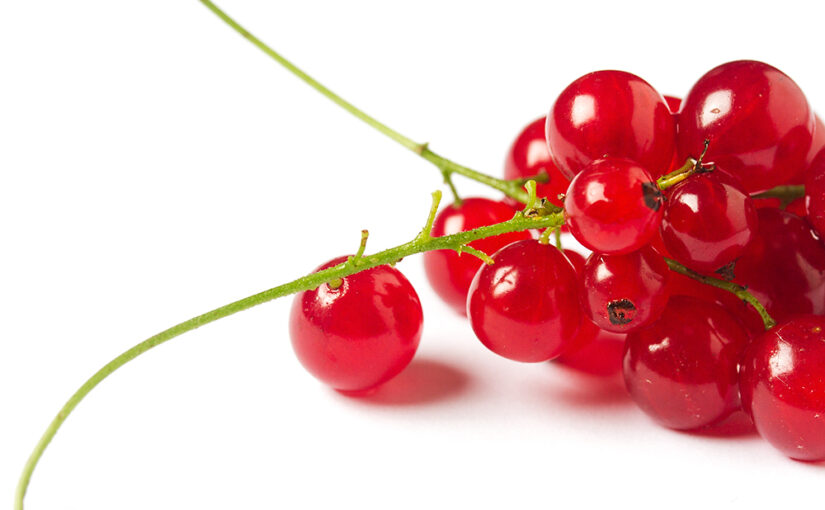 Aug 18 – Redcurrants
