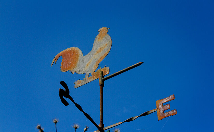Sep 14 – Rusty rooster