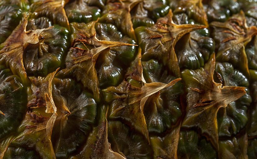 Picked it from the trash after dinner :) I liked the texture