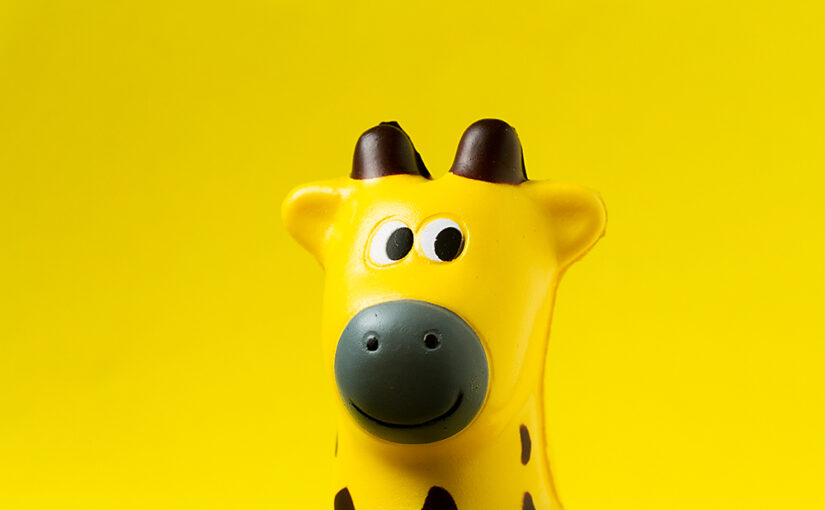 Portrait of a toy