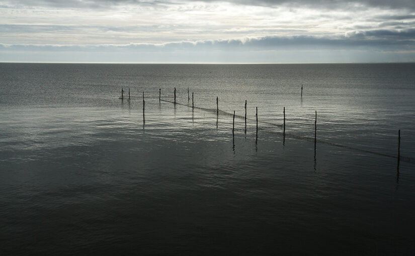 Nov 01 – Calm sea