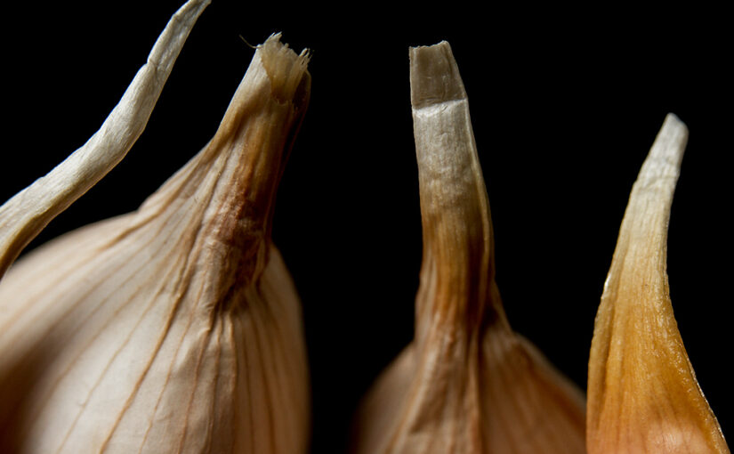 Nov 13 – Garlic