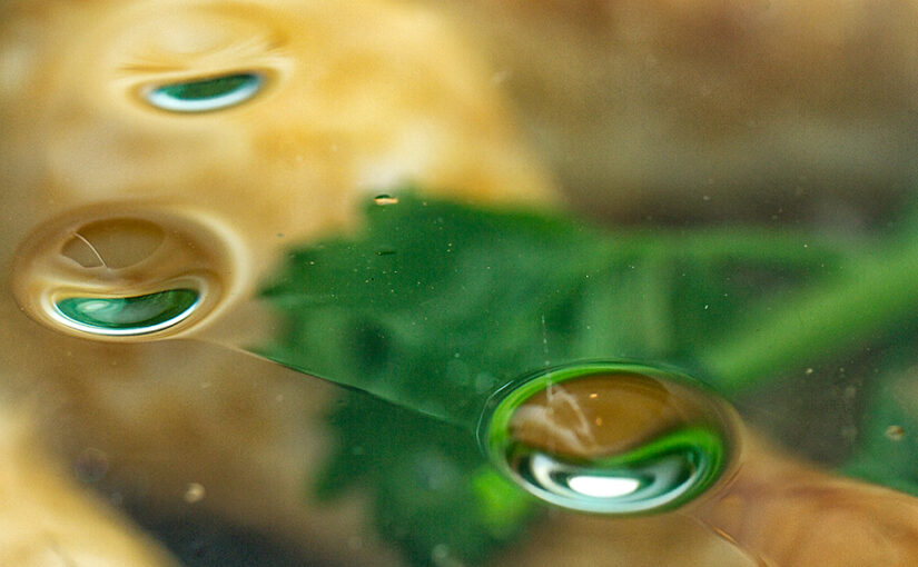 Jan 04 – Bubbles