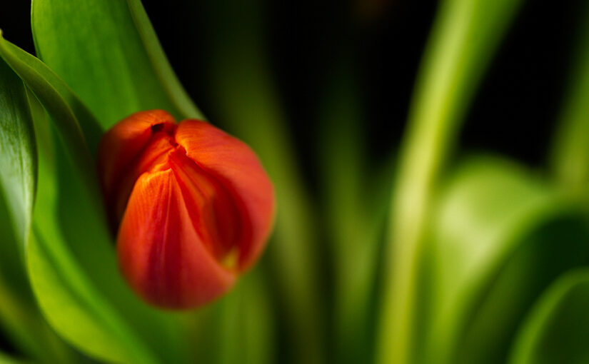 Mar 03 – One