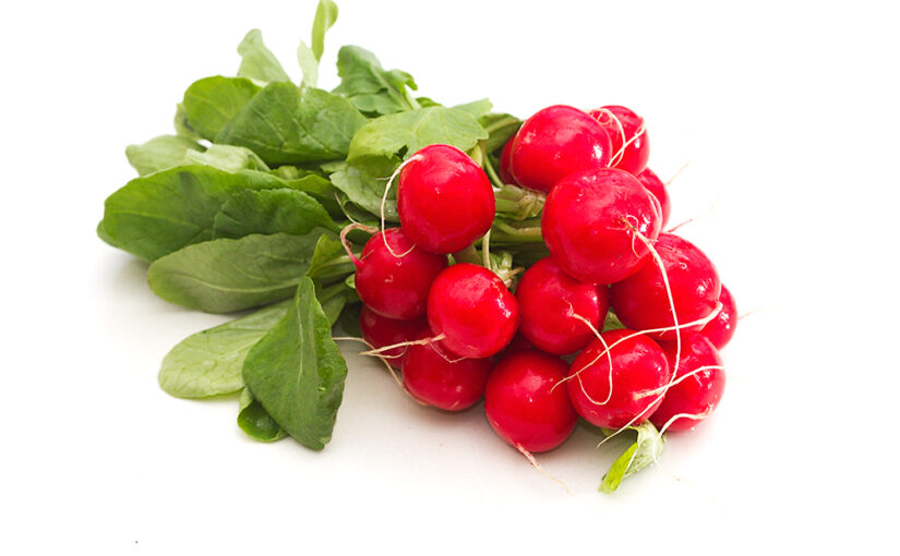 Delicious salad ingredient