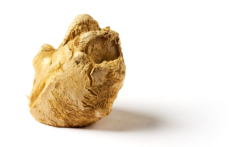 A piece of ginger