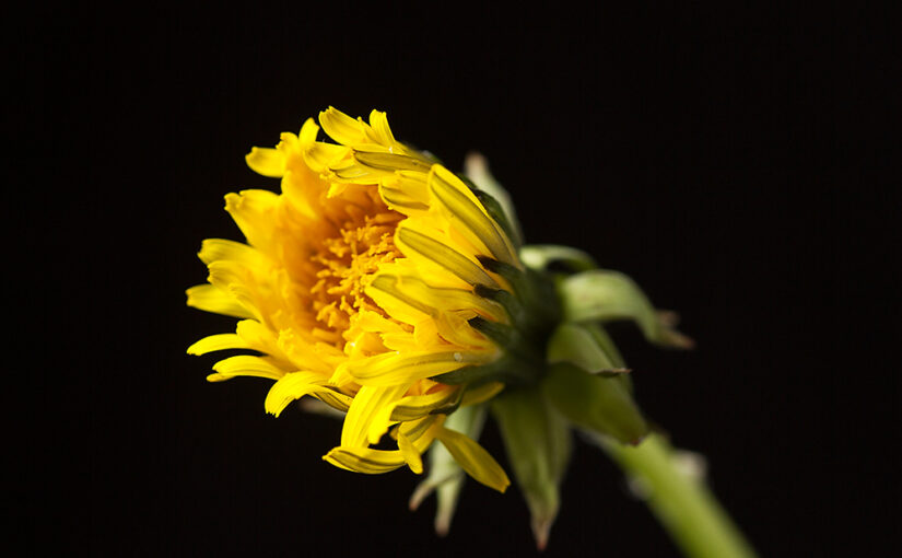 Apr 14 – Time for gardening