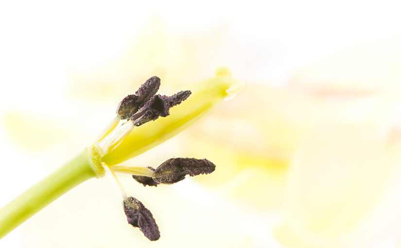 Apr 24 – The end