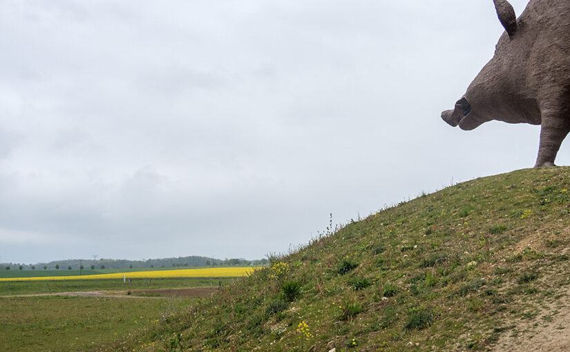 May 08 – Looking over the fields