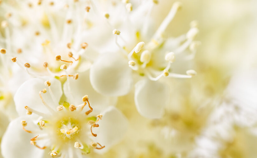 May 10 – What a wonderful world
